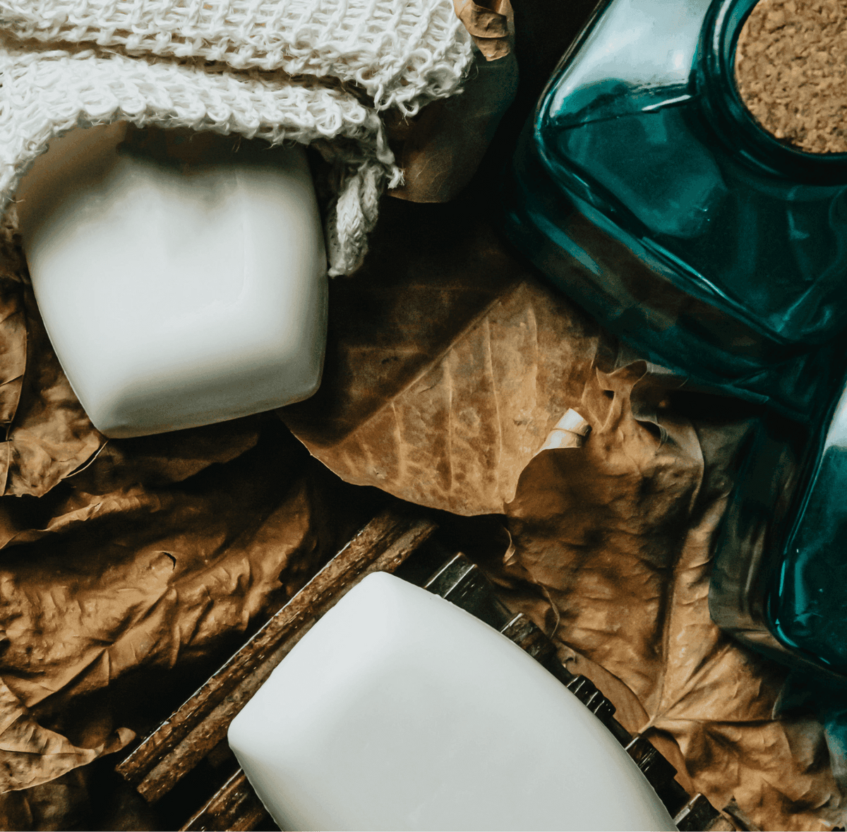 Coconut Skin Soothing Soap - Nova LuxeCoconut Skin Soothing Soap