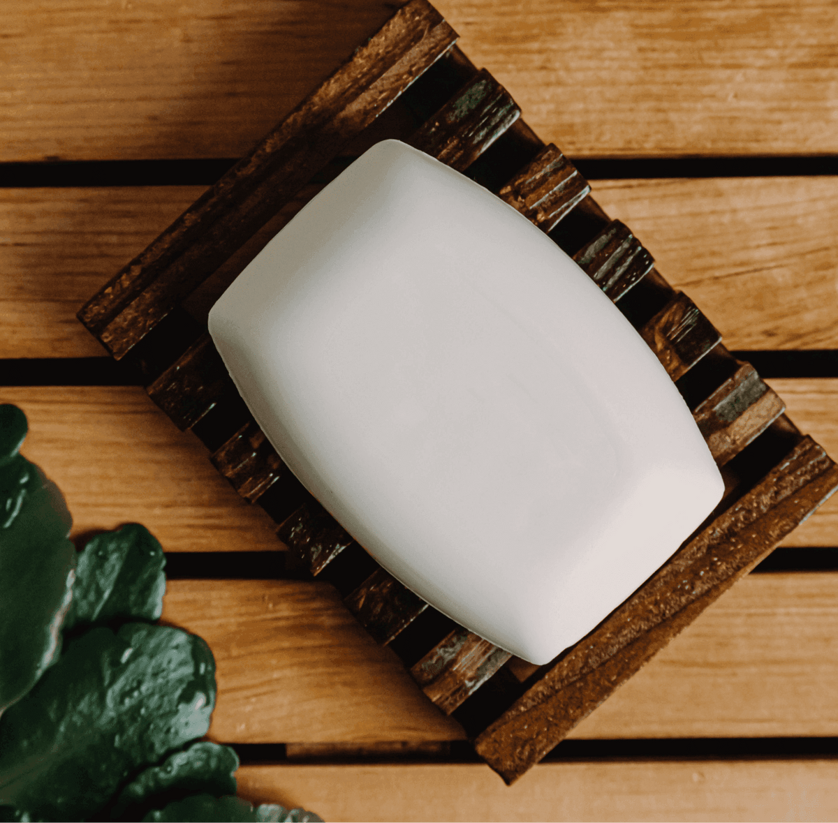 Coconut Skin Soothing Soap - Nova LuxeCoconut Skin Soothing Soap
